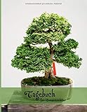 yamadori bonsai shop  Tagebuch für Bonsaizüchter