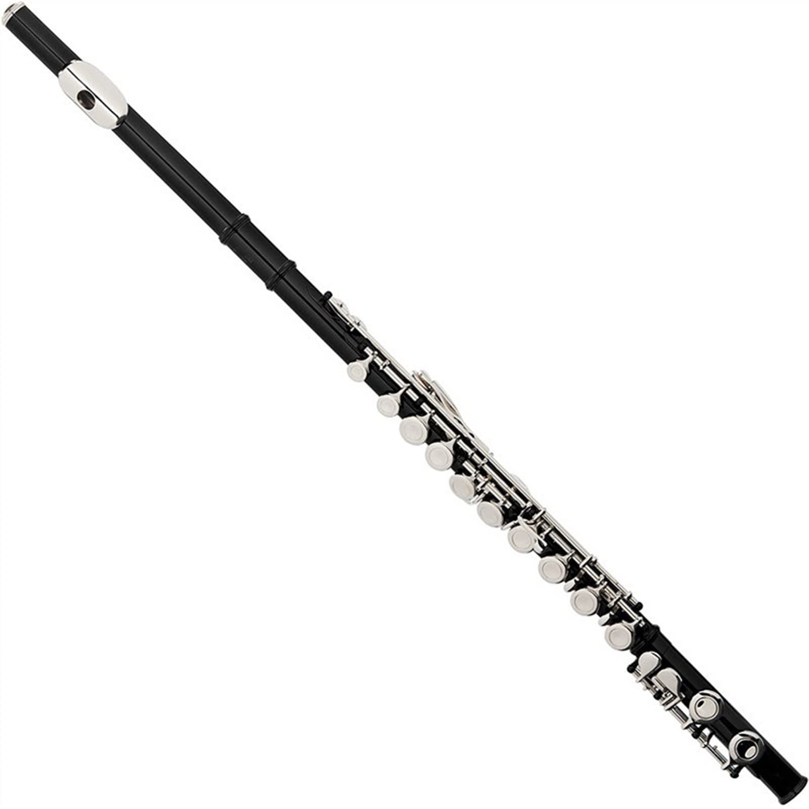 Professioneller Student 16-Loch Plus E-Klappe Geschlossenes Loch Flöteninstrument Versilberte Klappe Flötenbox Querflöte Anfänger