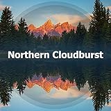 Jungle Sound Productions