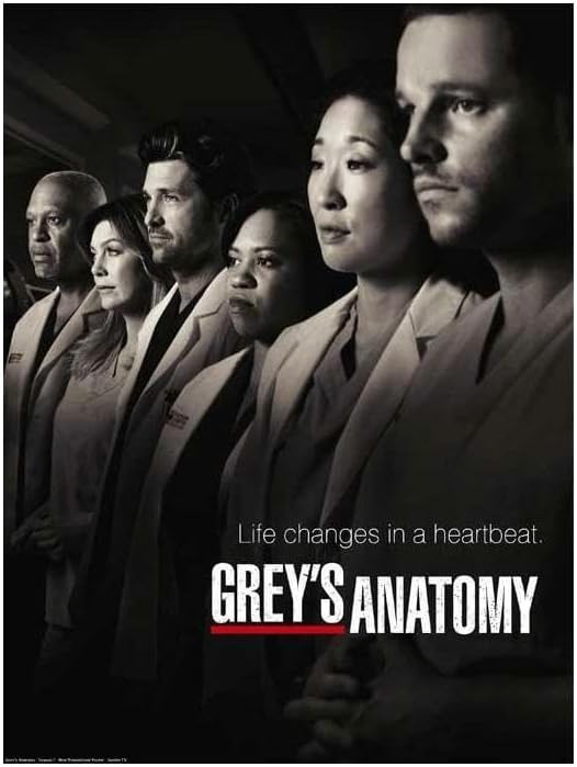 Rectify the Race Grey's Anatomy Tv 2005 Wall Art Print Movie Night Room Decor 24x36 Poster