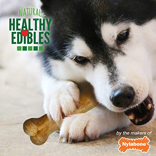 Image of Nylabone Healthy Edibles Natural Dog Chews Long Lasting Roast Beef & Chicken Flavor Treats for Dogs, Small /Regular (24 Count) | Natural dog chew bones, made in USA, highly digestible, vet recommended, long lasting chews for small dogs up to 25 lbs