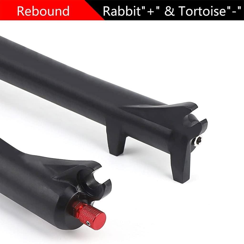 確認用】ゴルフメカニックvol.19（特別付録DVD付）