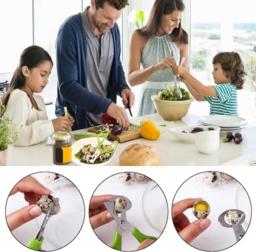 Miniatura 5 de Latrat Cortador De Huevos De Codorniz Y Paloma, 10 Unidades, Herramienta Para Abrir Huevos De Codorniz, Cascanueces Para El Hogar, Cocina, Restaurante Verde , Fhjmm20230915-1
