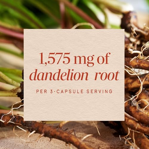 Nature's Way Dandelion Root Capsules, 1,575 mg per Seving, 180 ct - image 4