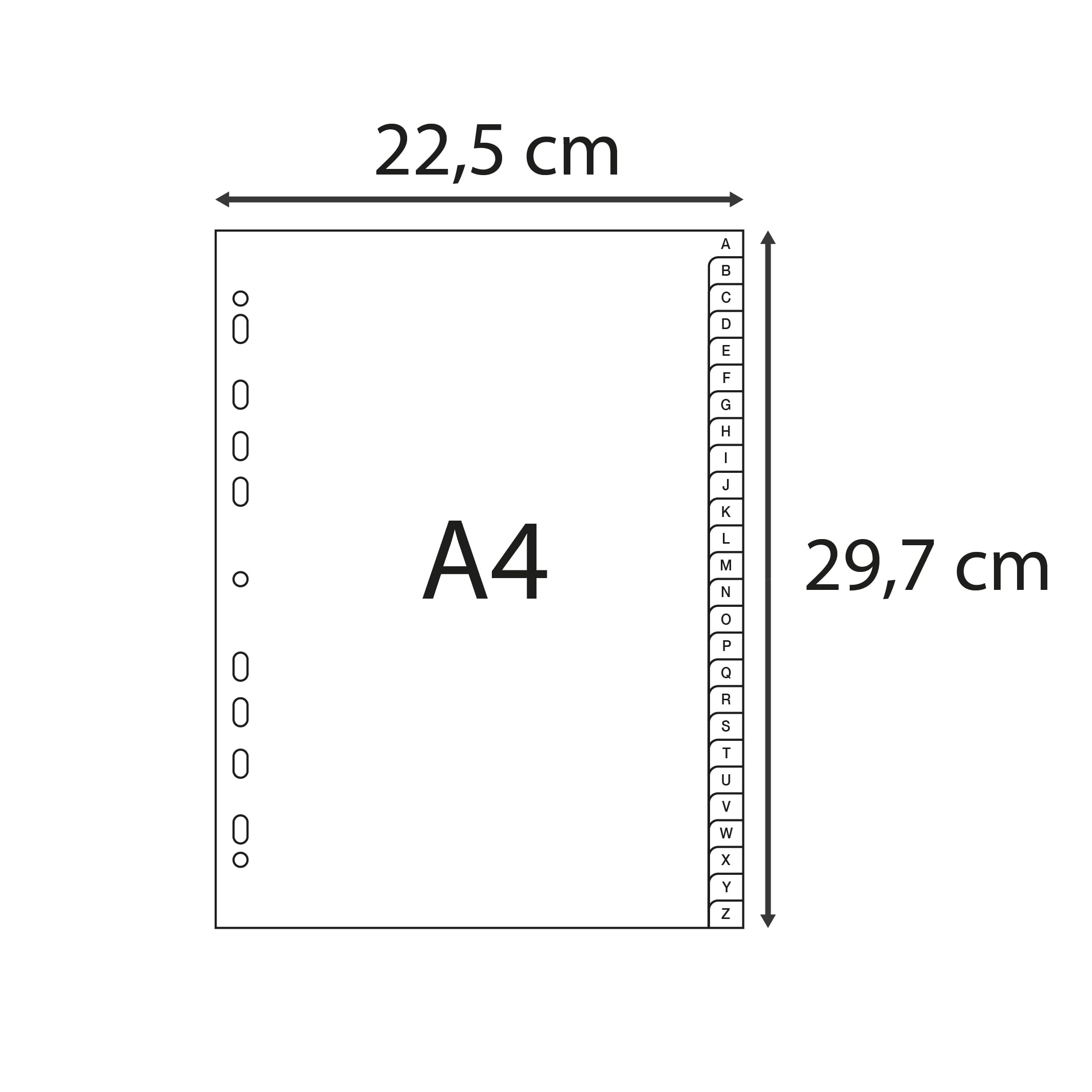 Exacompta - Rif. 1726E - Cartone da 20 divisori in polipropilene riciclato grigio con 26 linguette stampate alfabetiche dalla A alla Z, formato A4, dimensioni: 22,5 x 29,7 cm, certificato angelo blu