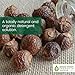 Green Virgin Products Modern Soap Nuts (concentrated soap nuts extract powder) (Small - 100 loads)