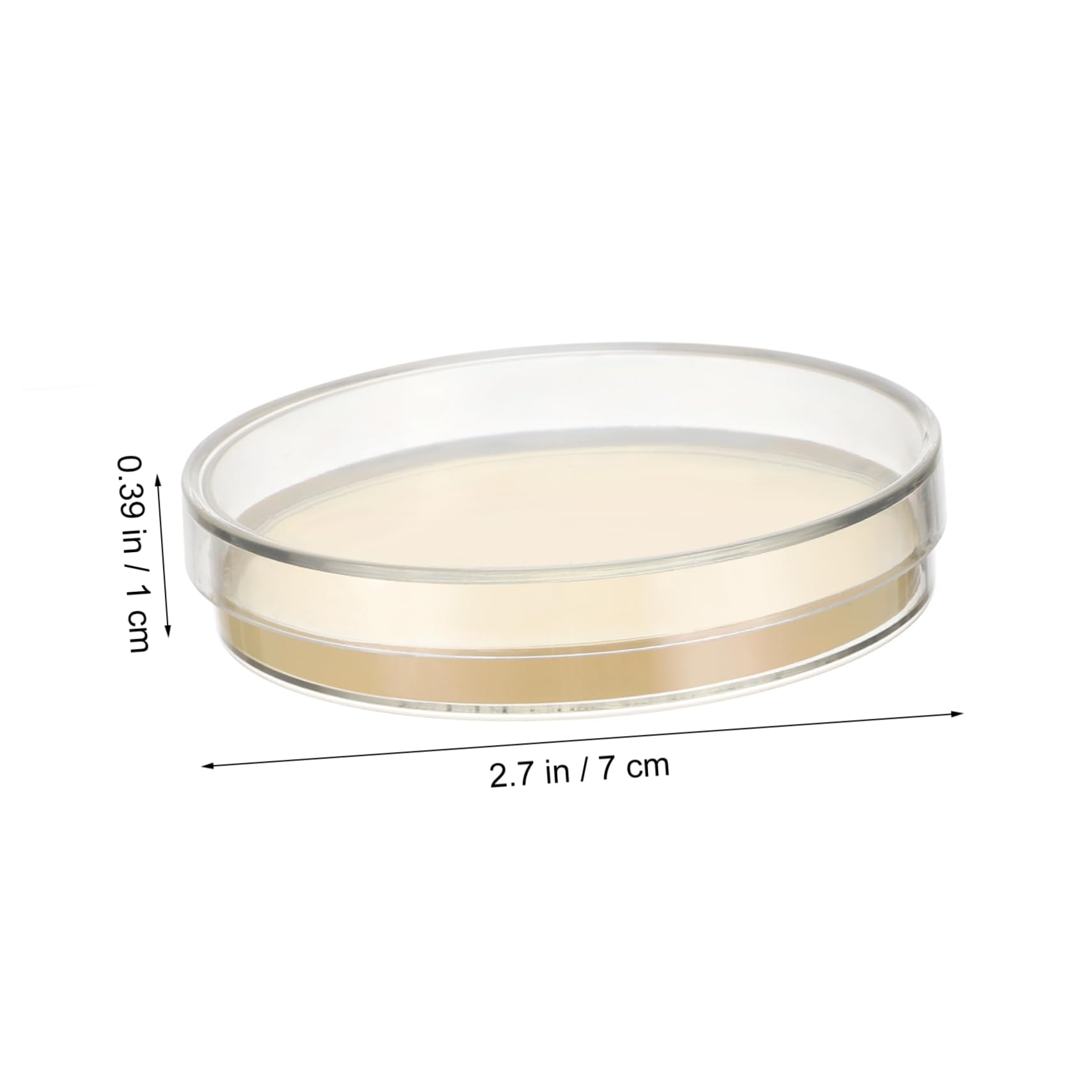 MUSISALY 10pcs Nutrient Agar Plates 7cm Petri Dishes Agar Plates Mycology Supplies