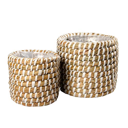 Gina Da Korb 2er Set Seegras Übertopf Pflanzkübel Pflanztopf Rund Blumentopf Pflanze Aufbewahrungskorb (Weiß-Beige) Cover
