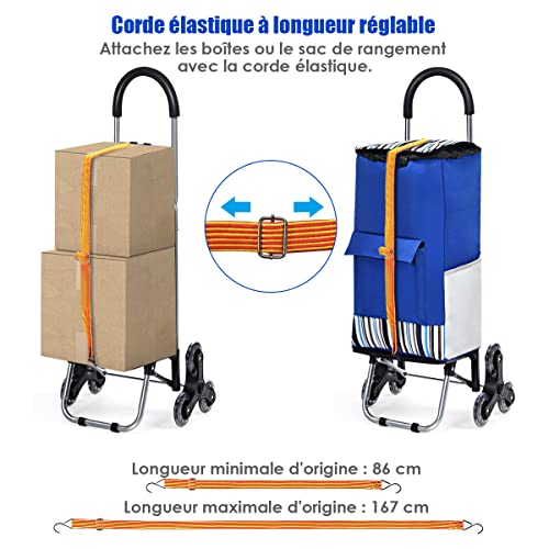 product-details