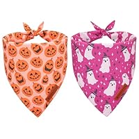 Dia De Los Muertos Bandana Pour Chien Motif Crâne Mexicain Accessoires Réglables Pour Animaux De Compagnie De Petite Et Moyenne Taille