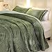 BOV King Size Quilt Set 3-Piece,Lightweight Bedding All-Season Cooling Microfiber Quilt & Pillow Shams,Easy Care Green Quilt (Green, King)