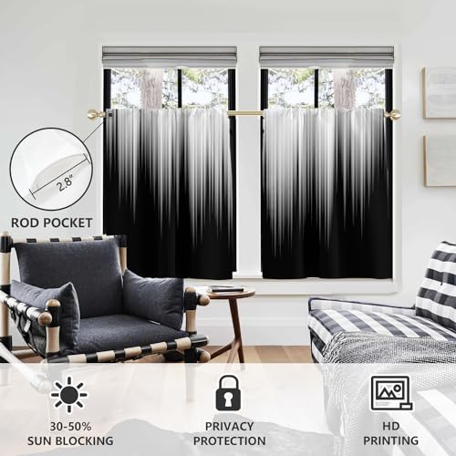AAtter Black and Grey Window Curtains for Kitchen White Silver Ombre Mens Abstract Trendy Gothic Small Short Home Living Room Bedroom Bathroom Drapes Treatment Fabric 1 Pair, 27.5" W x 45" L, Modern by AAtter - Image 3