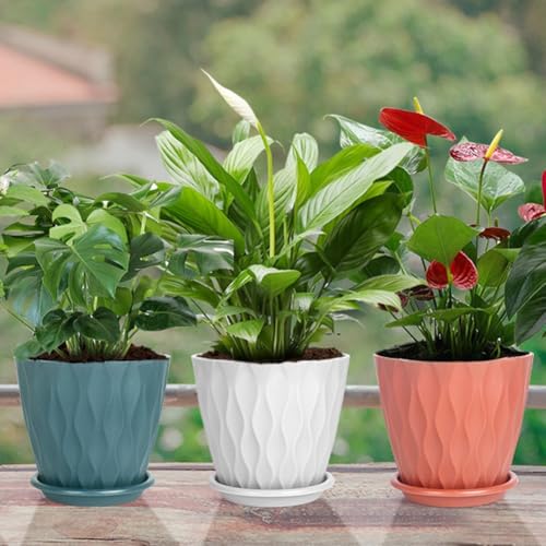 Pots de fleurs à motif ondulé rigide et soucoupe de drainage bleue - 5