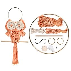 KISSTAKER DIY Owl Macrame Kit for Adult, Hand Craft Dream