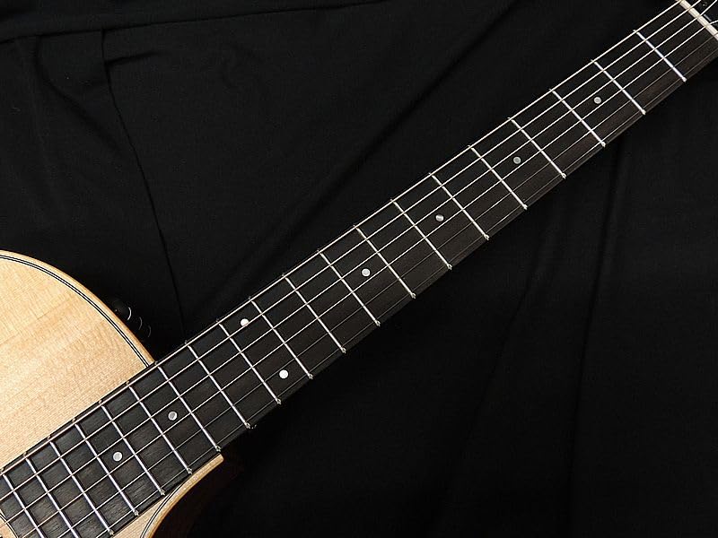 Amazon | Taylor 314ce studio special edition テイラー グランド