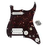 Cuello: Dual Rail Pickup, resistencia es de 10 – 11 K Ohm; Puente: doble bobina Humbucker Pickup Polo, separación es de 52 mm y resistencia es 13,6 – 14 K Ohm.