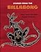 Stories from the Billabong
