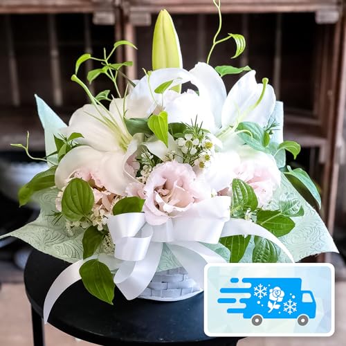 yNx̂܂܁zփƑ傫Ȕ{ t[AWg LTCY (eC) (//ԕd/l\//@/~/ފ) [`s̉ԉ t[Xg]