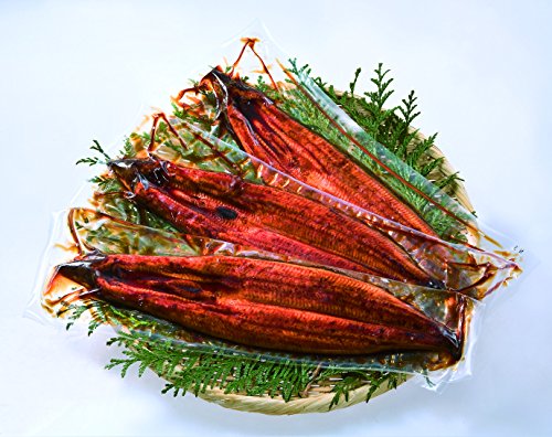 【株式会社Ａコープ鹿児島】 鹿児島県産 うなぎ蒲焼 ギフト真空パック 3尾