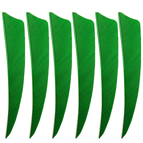 Zshjgjr 50Pcs 3" 4" 5” Shield Cut Archery Fletches Arrow Feathers Turkey Feather Right Hunting Arrows Accessories (5 Inch, Green) #TOP3