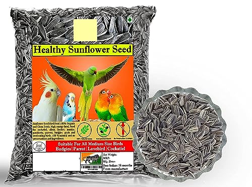 CybeXis All Life Stages Bird Food Small Size Sunflower Seeds-[1Kg]