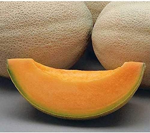 Athena F1 Cantaloupe Seeds (300 Seed Package)