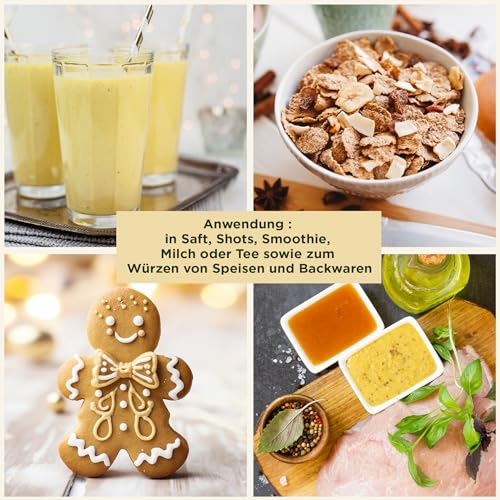 Detox Organica Ingwerpulver Bio 250g, 100% reiner Ingwer gemahlen, Ingwerwurzel schonend getrocknet und fein vermahlen, Ingwertee Ingwerwasser Smoothies und zum Kochen, Ginger Powder