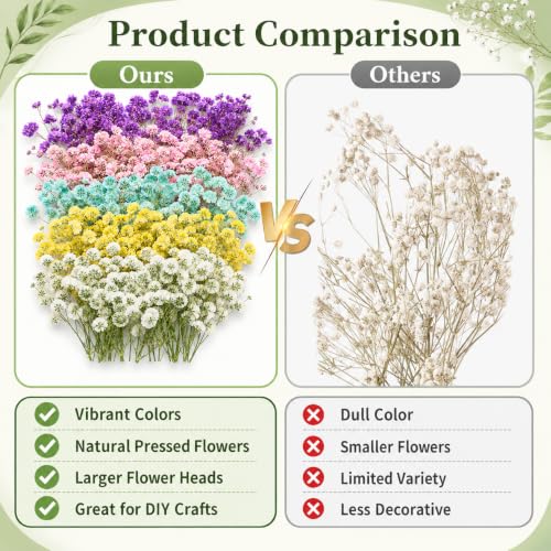 100 flores mini secas de paniculata prensadas para manualidades miniatura 3
