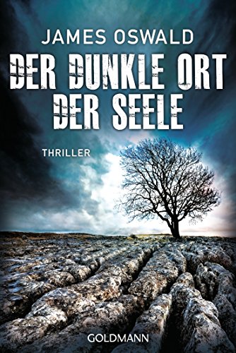 Der dunkle Ort der Seele: Thriller - Inspector