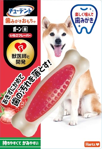 `[fg ݂ {[ M ^~^ t[o[ n[c(Hartz) pߋ  f^PA btƊJ OɊ߂Ď̉𗎂Ƃ!