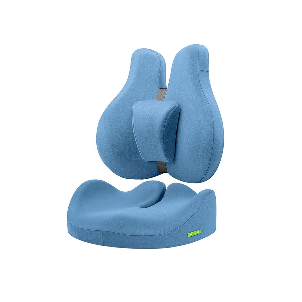 XMING Kissen Büro Lendenkissen Sitz Lendenkissen Lendenkissen Stuhl Rückenlehne Kissen Memory Foam Lendenkissen Kissen (Color : Blu)