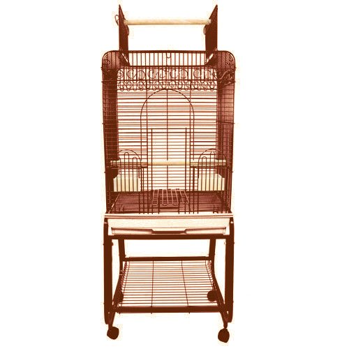 Amazon.com: Kings Cages: Medium Bird Cages
