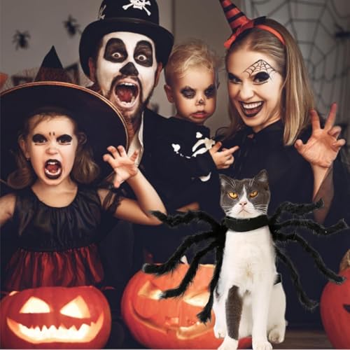 Halloween Spinnenkostüm für Hund Katze Verstellbare Spinnenkostüme für Kleine Mittlere Hunde Katzen Leerer Herzzylinder (A)