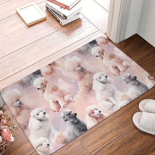 XOPEKVLAWM Paillasson de bienvenue en caoutchouc antidérapant lavable - Tapis de porte d'entrée caniche - Tapis de cuisine pour extérieur et intérieur -...