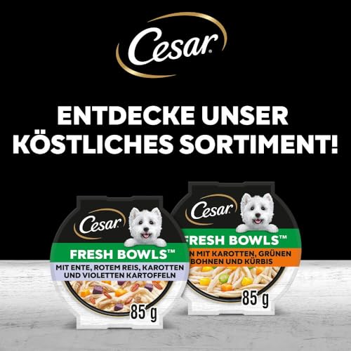 Cesar Schale gemischte Auswahl in Soße 4 x 6 x 85 g
