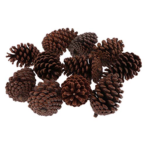 freneci 10 Piezas Grandes Conos De Pino Seco Natural para Decoración Colgante De árbol De Navidad - B 8-10 cm
