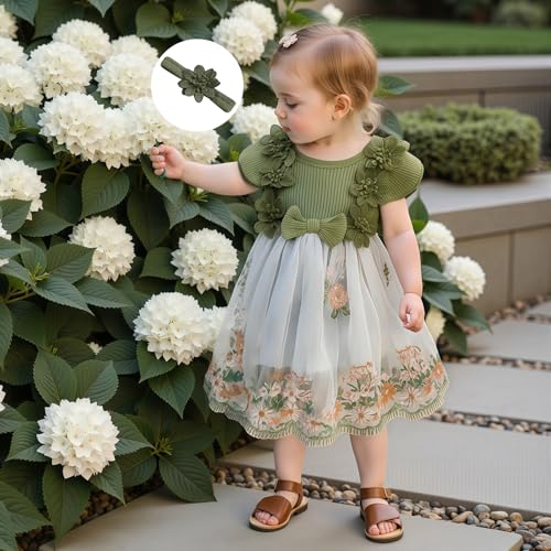 Douhoow Baby Girl Dress Romper Baby Romper Dress Flowers Embroidery Tulle Skirt Infant Girl Summer Clothes with Headband4
