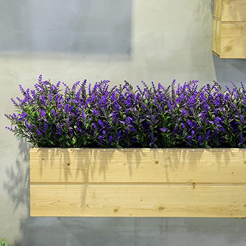 Mejores review On-line Lavanda planta precio tabla con los diez mejores. 26 Imagen adicional