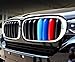 Goodream Tricolored Grille Insert Trims Compatible With 2014-2018 F15 X5 and 2015-2016 F16 X6 (Does not fit 2017 X6) Center Kidney Grill (7Beams)
