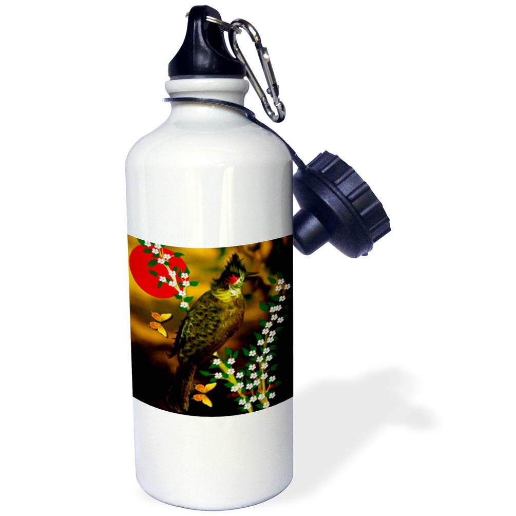 3dRose Red Whiskered Bulbul Bird Art Sports Water Bottle 21 oz White