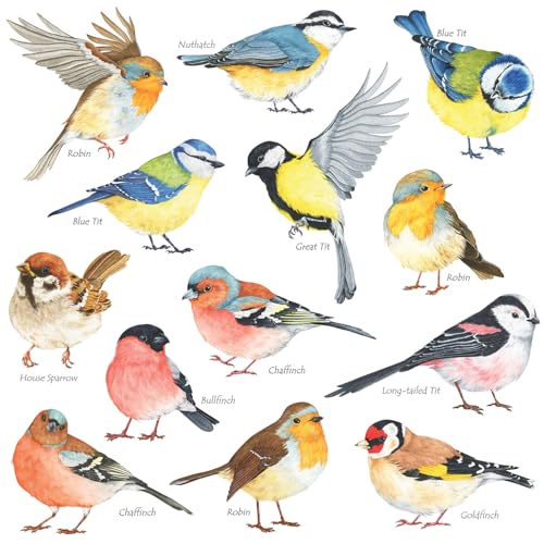 DECOWALL DS2-8038 Little Birds Wall Art Stickers Colourful Flying British Birds Wall Decals Removable Garden Decorations Poster Bedroom Kitchen Living Room (Small)