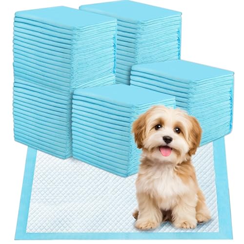 Jukibole Hunde Trainingspads 60x60cm – 100 Stück Einweg Unterlagen, 6-lagige PIPI Matten für Welpen & Hunde, Ultra Saugfähig, Auslaufsicher & Geruchsneutral, Blau, Baby Einweg Wickelunterlagen