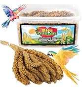 Delight 0,5 kg Millet en Épis – Alimentation Naturelle pour Oiseaux d’Ornement, Perruches ...