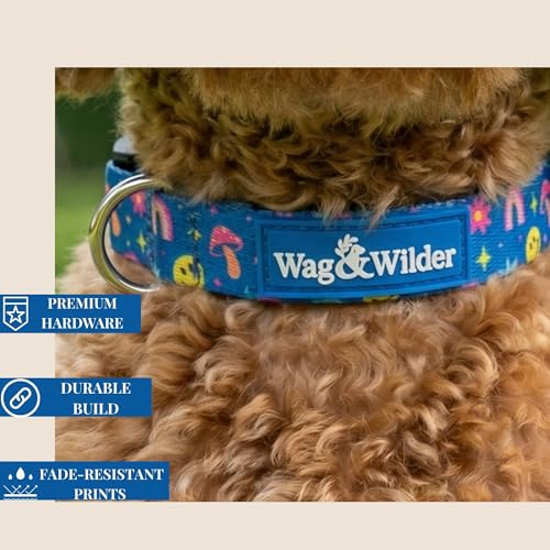 Image of Wag and Wilder Heavy Duty Adjustable Dog Collar for Small Dogs - Quick Release Buckle & Metal D-Ring (Groovy Trails Blue)