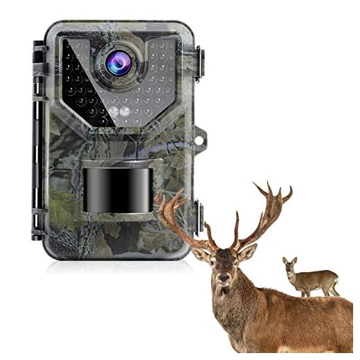 SESERN Trail Camera 20MP 1080P Up to 2.7K, IP66 Waterproof Game Cameras Hunting with No Glow Night Vision to 65ft, 2.4 inches Game Hunting Camera 120°Detecting Range with Motion Sensors (Jungle Green)