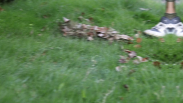 Rastrillo para jardín de acero inoxidable 69 pulgadas miniatura 7