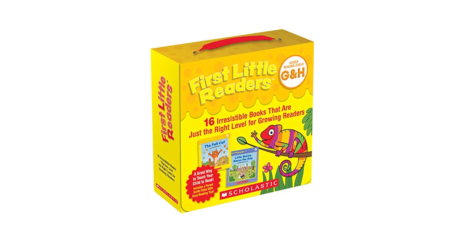Amazon.com: First Little Readers: Guided Reading Levels G