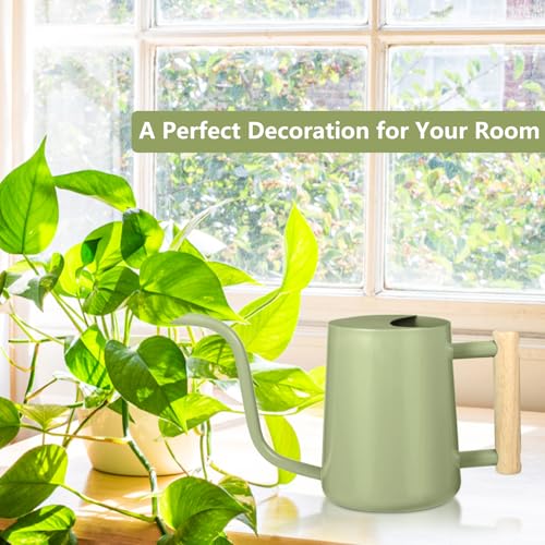Image of Watering Can Indoor Plants, 35oz Small Indoor Stainless Steel Metal Watering Can Modern Decorative Watering Pot with Long Spout for Indoor House Plant Bonsai Garden Flowers (Sage Green)