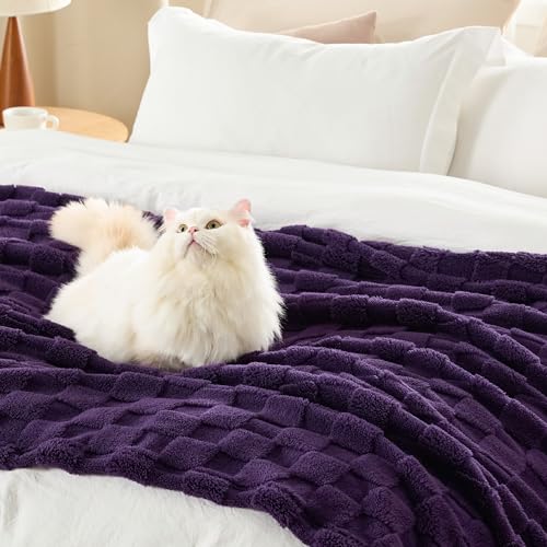 Bedsure GentleSoft Blankets Queen Size for Bed - Super Soft Cozy Blanket for Women Men Girls, Large Fuzzy Fleece Throw for Bedroom Decor, Purple, 90x90 Inches