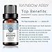 RAINBOW ABBY Jasmine Essential Oil 100% Pure Orangic Aromatherapy Plant Essential Oils Set for Diffuser - 10ML